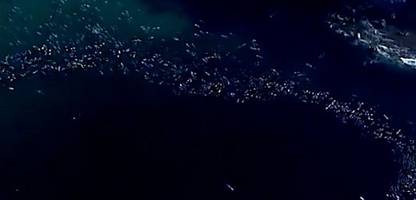 Bondi Beach nach dem Anschlag: »Paddle-Out« für die Opfer