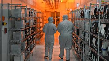 Nexperia in der Krise: Mitarbeitern des Hamburger Werks droht Kurzarbeit