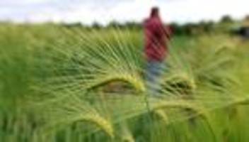 EU-Regeln für Gentechnik: SPD kritisiert Lockerungen der EU bei Gentechnik in der Landwirtschaft