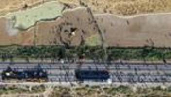 Tiere: Sieben Elefanten sterben in Indien bei Kollision mit Zug