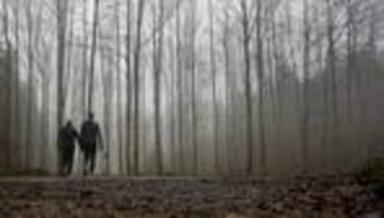 Wetter: Wolken, Nebel und wenig Sonne: Wochenende zeigt graue Seite