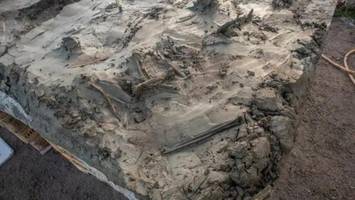 Mysteriöses Hundegrab unter Wasser lässt Archäologen rätseln