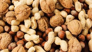 nicht nur herz & stoffwechsel: diese nuss ist auch gut fürs gehirn