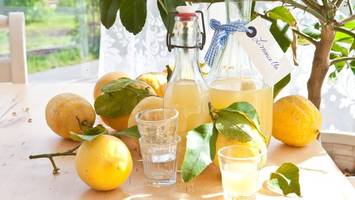 Hochprozentiges zu Hause selbst machen – Was erlaubt ist, wie es geht