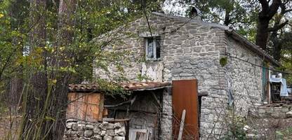 Italien: Sorgerechtsstreit um isolierte »Waldfamilie« in den Abruzzen