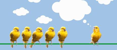 kommunikation: smarter leben - wie wir rechthaber und besserwisserinnen überzeugen können