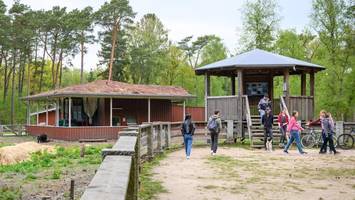 Harsche Kritik an Wildgehege-Umbau: „Kosten laufen aus dem Ruder“