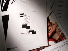 Epstein Files: Dies ist Aktenfreigabe nach Art von Donald Trump