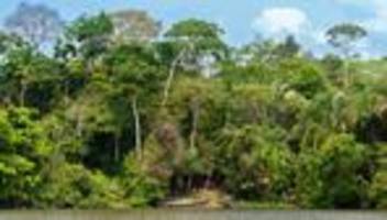 Spinnenangst: Gebt mir eine Tarantel!