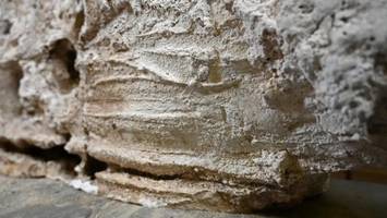 steinsarg offenbart außergewöhnlichen totenkult der römer