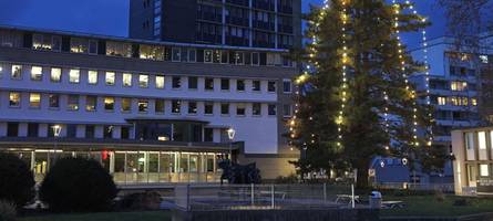 In Hameln wird dem Weihnachtsbaum-Lulatsch die Lichterkette zu kurz