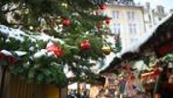 Feiertage: Weihnachtsbäume in Leipzig zu verschenken