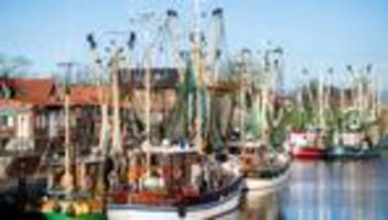 Millionensumme für Entwicklung: Zukunftskutter KUNO soll Küstenfischerei modernisieren