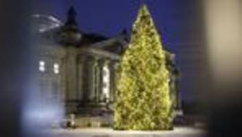 Weihnachtszeit: Komm, setz dich ans Fenster