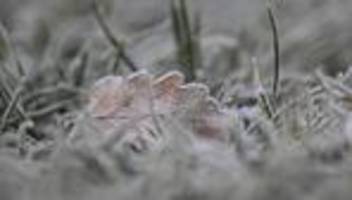 wetter an heiligabend: deutscher wetterdienst sieht chance auf angezuckerte weihnachten