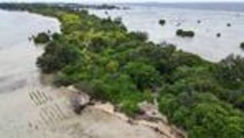 Indonesien: Schweizer Gericht lässt erstmals Klimaklage aus dem Ausland zu