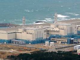 Rund 15 Jahre nach Fukushima: Weltgrößtes Atomkraftwerk soll wieder hochgefahren werden