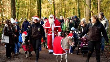 Familien-Event an Heiligabend: „Wildweihnacht“ im Wildpark Eekholt