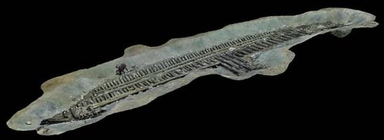 Luxusschiff aus der Antike: Forscher finden einzigartiges Wrack bei Alexandria