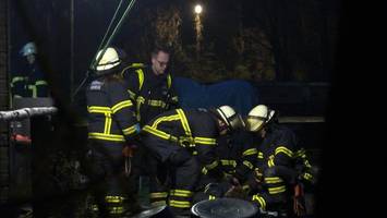 tragödie in niendorf: pferd in reifen eingeklemmt – doch hilfe kommt zu spät