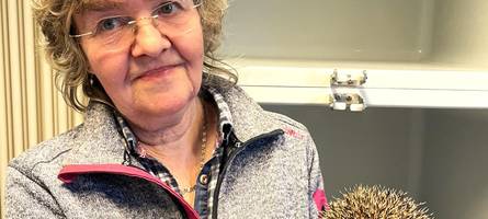 Im Einsatz für Igel und die Natur: Stadt Augsburg kürt zwei Helden des Alltags