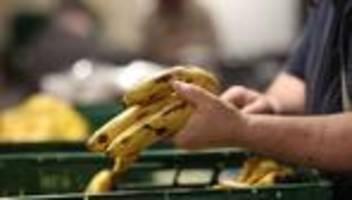 Gesellschaft: Tafeln in Sachsen kämpfen mit steigenden Kosten