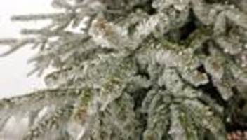 Wetter: Schneeflocken an Heiligabend in NRW möglich