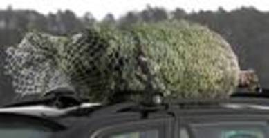 verkehr: verlorener weihnachtsbaum sorgt für einsatz auf der autobahn