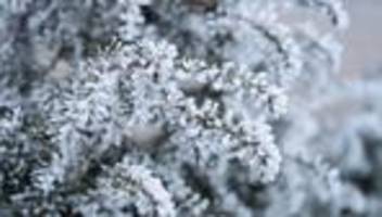 Wetterbericht: Wo weiße Weihnachten im Südwesten möglich sind