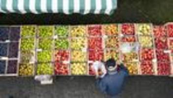 supermärkte: grünen-fraktion fordert preisvergleichs-app für lebensmittel