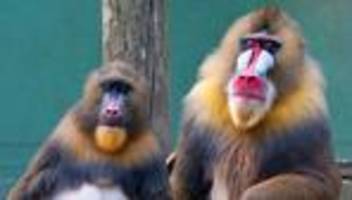 streit: wie versöhnt man sich nach einem streit wieder?