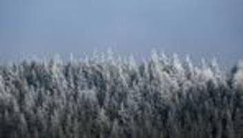 Weihnachtswetter im Südwesten: Sonne an Weihnachten? In Baden-Württemberg reine Glückssache