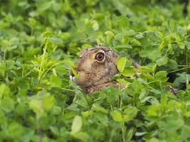 Literatur: Vergessen Sie alles, was Sie über die Welt wussten