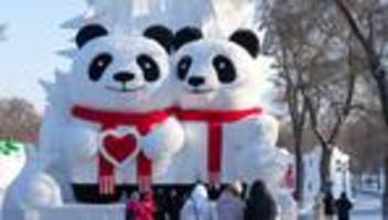 Touristenmagnet: Eis- und Schneeskulpturen ziehen Besucher nach Harbin