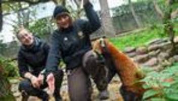 Zoos und Tierparks: Zoopreise bleiben größtenteils stabil