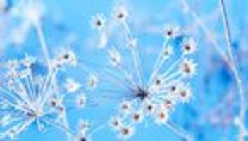 wetter: weihnachten so kalt wie seit 15 jahren nicht