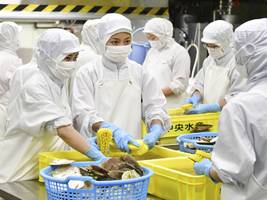 Japan: Das Land der untergehenden Arbeitnehmerrechte