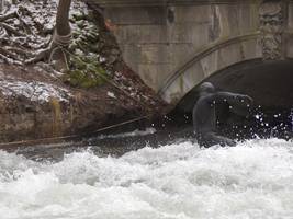 surfer gegen behörden: darum geht es beim eisbachwellen-streit