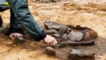 archäologie im norden: jeder fundort erzählt ein weiteres stück unserer geschichte