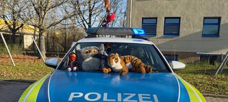 liegt ein tiger an der autobahn: polizei mit kuriosem fund