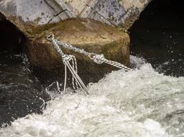 Städtische Behörden gegen Surfer: Wie es zum Streit um die Münchner Eisbachwelle kam