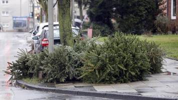 Wann die BSR Ihren Weihnachtsbaum abholt – alle Termine im Überblick
