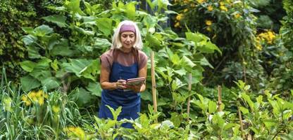 aktivrente: wie funktioniert sie, und was bringt sie?