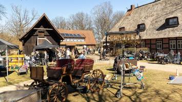 „Schwarzes Gold“: So liefen die Dreharbeiten in der Lüneburger Heide