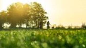 deutscher wetterdienst: wetter 2025 war sehr warm und trocken