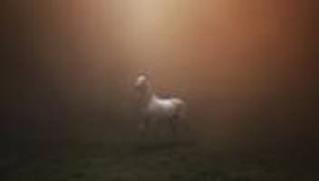 jochen buchsteiner: die vertreibung hatte eine vorgeschichte