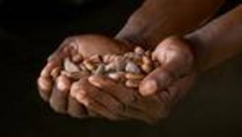 kakao in kamerun: die tödliche seite der schokoflation