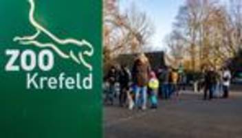 Toter Vogel: Vogelgrippe bei Flamingo im Krefelder Zoo nachgewiesen