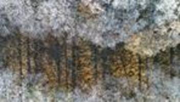 Wetterbilanz: Sonnenreiches Wetterjahr für Brandenburg endet