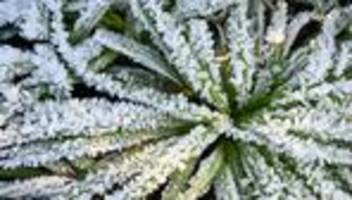 Wetterprognose: Silvesternacht in Hessen eher frostig und ungemütlich